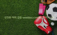 안전한 먹튀 검증 weedales.com에서 시작하세요